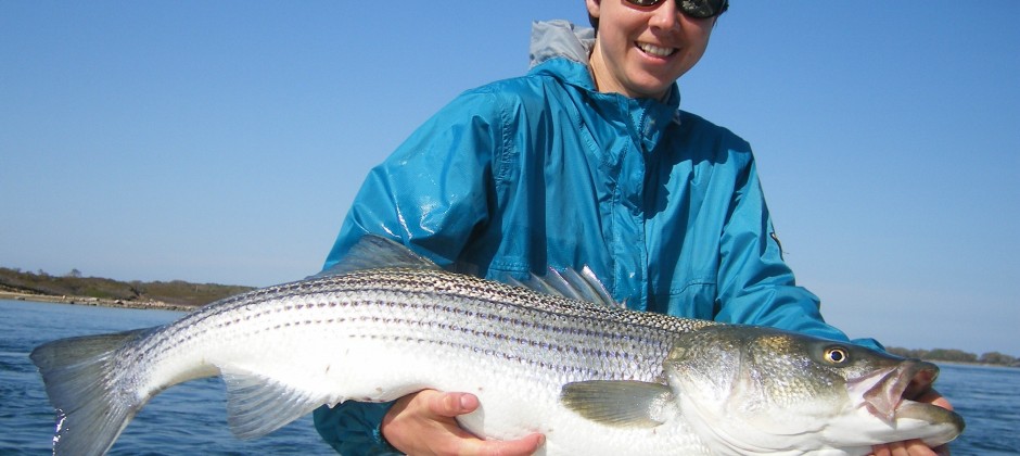 May Striped Bass