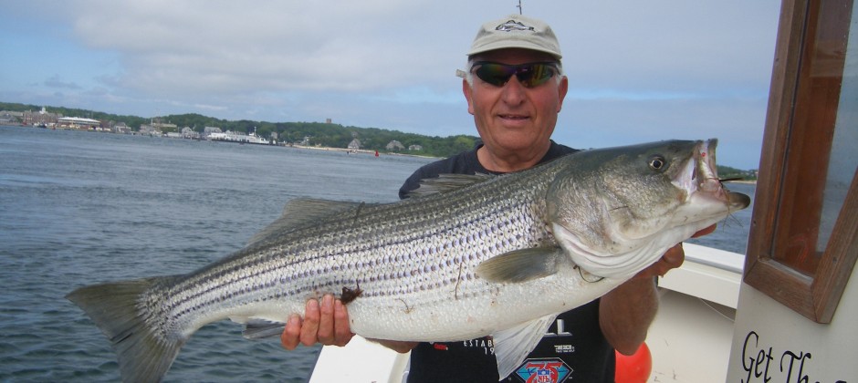 Trophy Woods Hole Striped Bass