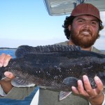 13 lbs Tautog