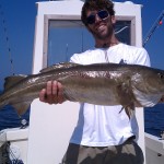 20 lbs Cod